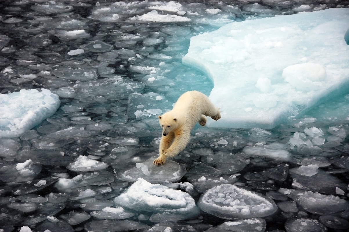 ¿Un nuevo estado climático en el Ártico?